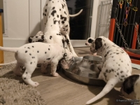 IMG_20250124_181117_web