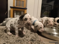 IMG_20250124_181127_1_web