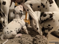 IMG_20250124_181144_web