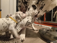 IMG_20250124_181453_web