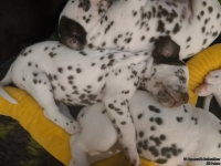 IMG_20250126_104327_web