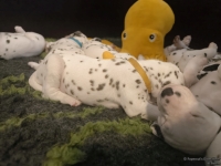 IMG_20250126_104356_web