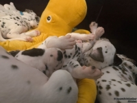 IMG_20250126_104436_web