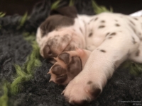 IMG_20250126_104444_web