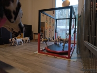 IMG_20250128_083502_web