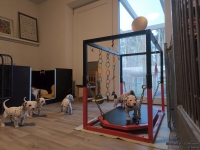 IMG_20250128_083510_web