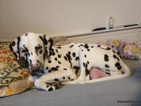 IMG_20250128_090624_web