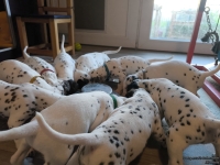 IMG_20250128_110838_web