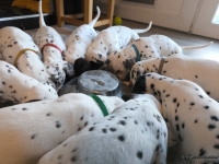 IMG_20250128_110841_web