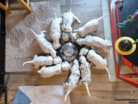 IMG_20250128_110926_web