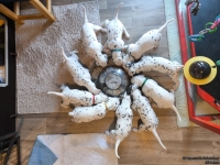 IMG_20250128_110928_web