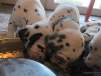 IMG_20250128_111209_web