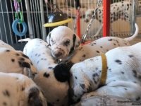 IMG_20250128_111225_web