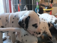 IMG_20250128_111241_web