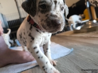 IMG_20250128_111727_web