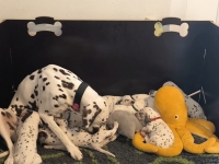 IMG_20250128_113158_web