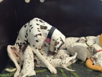 IMG_20250128_113207_web