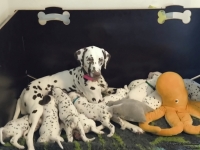 IMG_20250128_113853_web