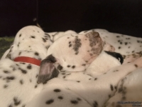 IMG_20250128_164238_web