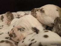 IMG_20250128_164305_web