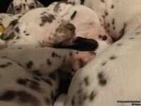 IMG_20250128_164428_web