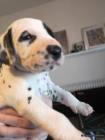 IMG_20250128_111849_web