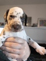 IMG_20250128_112400_web