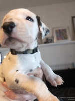 IMG_20250128_111909_1_web