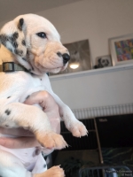 IMG_20250128_111914_web