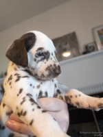 IMG_20250128_111922_web