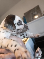 IMG_20250128_111938_web