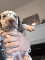 IMG_20250128_112005_web