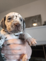 IMG_20250128_112007_web