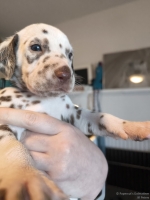 IMG_20250128_112035_web