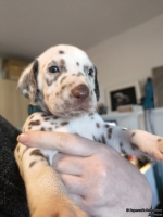 IMG_20250128_112038_web