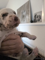 IMG_20250128_112059_web