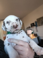 IMG_20250128_112152_web