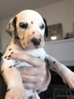 IMG_20250128_112237_web