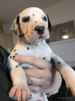 IMG_20250128_112240_web