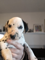 IMG_20250128_112244_web