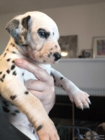 IMG_20250128_112247_web