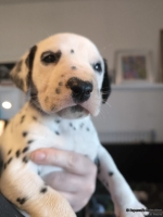 IMG_20250128_112251_web