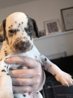 IMG_20250128_112344_web