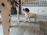 IMG_20250201_151924_web