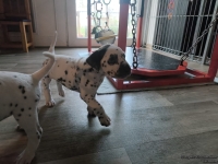 IMG_20250201_151932_1_web