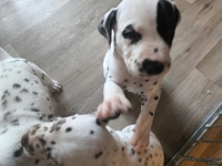 IMG_20250201_151939_web