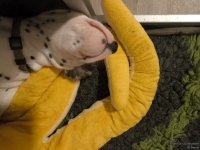 IMG_20250129_001825_web