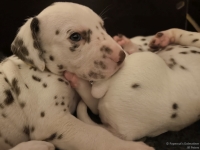 IMG_20250129_002051_web