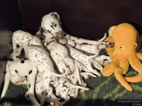 IMG_20250129_083518_web