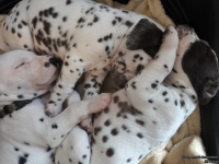 IMG_20250129_143006_web